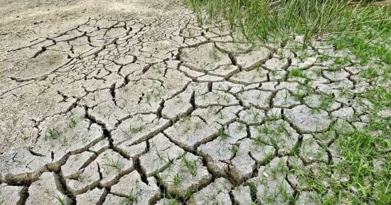 أزمة غذاء تضرب أمريكا اللاتينية بسبب الجفاف.. تحذير من تأثر 80% من المكسيك بالموجة.. و11 مليار دولار خسائر الزراعة بالأرجنتين مع نفوق الماشية.. وتشيلى تفرض غرامة على مهدرى الطعام.. وطوارئ غذائية فى بيرو