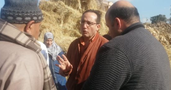 تحصين 44 ألفا و 459 رأس ماشية ضد "الجلد العقدى" و"جدرى الأغنام" فى كفر الشيخ