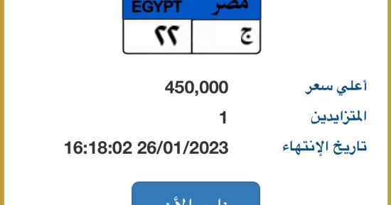 اختار نمرة عربيتك.. 5 لوحات مميزة متاحة بالمزاد الإلكترونى.. تعرف عليها