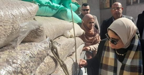 ضبط قمح محلى ممنوع من التداول بهدف بيعه فى السوق السوداء بالإسكندرية