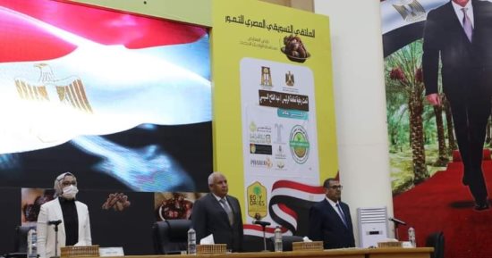 المجلس التنفيذى لمحافظة الوادى الجديد يصدر 7 قرارات أبرزها إنشاء وادى الجوجوبا