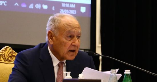 أبو الغيط مدينا اقتحام جنين: اللامبالاة الدولية تدفع لارتكاب مزيد من الجرائم 