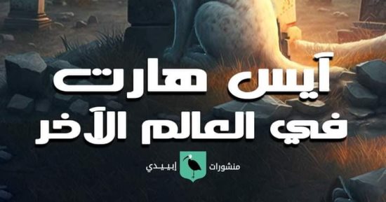 "آيس هارت فى العالم الآخر" رواية جديدة للكاتب محمد بركة فى معرض الكتاب