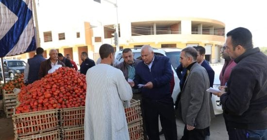 محافظ الوادي الجديد: كوبونات مخفضة لذوى الهمم للشراء من الجمعيات الاستهلاكية