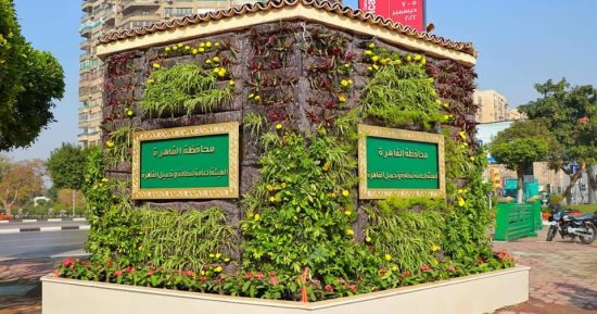 حدائق القاهرة تبدأ زراعة الحوائط بطريق صلاح سالم.. تجربة جديدة تنفذها هيئة النظافة تمهيدا لتعميمها على المحاور المرورية والكبارى.. الشرشابى: نقلة نوعية لوضع لمسات جمالية.. وحديقة العروبة مفتوحة مجانا للمواطنين