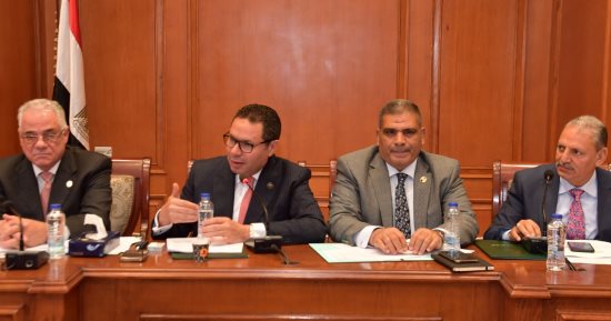  "زراعة النواب" تطالب بسرعة تفعيل قانون الزراعة التعاقدية