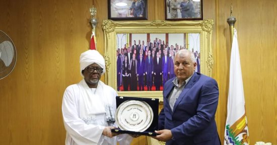 محافظ الوادى الجديد يبحث مع قنصل السودان آليات تنفيذ مشروعات تنموية