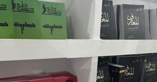 نفاد طبعة "فى الشعر الجاهلي" بجناح قصور الثقافة بمعرض الكتاب