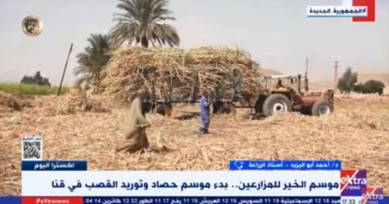 أستاذ زراعة لـ"إكسترا نيوز": الدولة بذلت جهودا كبيرة للحفاظ على الرقعة الزراعية