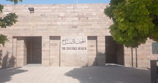 متحف التمساح بأسوان يحتفل بالذكرى 12 على افتتاحه