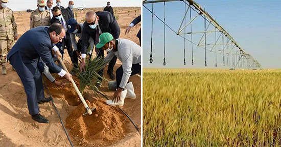 توشكى الخير.. تعثر 20 عاما والرئيس السيسى أعاد إحياءه.. استصلاح وزراعة 600 ألف فدان والقمح أبرز المحاصيل.. يعتمد على أساليب زراعية حديثة تزيد الإنتاج.. والدولة تضعه فى خطتها لتوسيع الرقعة الزراعية لـ 25%.. صور 