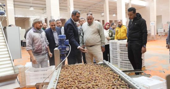 محافظ الوادي الجديد يتابع خطة التعاقدات التصديرية لتمور المحافظة ويوجه بالتوسع فيها