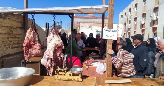 محافظة الوادى الجديد: طرح لحوم طازجة ب140 جنيها وأسماك بـ17 جنيها للمواطنين