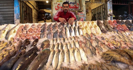 سوق السمك الجديد بشمال سيناء واجهة حضارية لعرض خيرات البحر المتوسط والبردويل