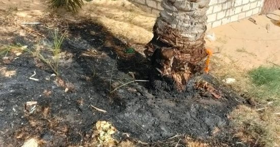 السيطرة على حريق بسبب ماس كهربائى بشمال سيناء نتيجة شدة الرياح.. صور
