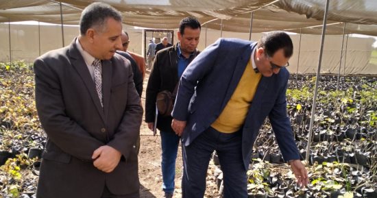 ‫"الزراعة" تواصل متابعة رفع كفاءة الأصول التابعة بالقليوبية