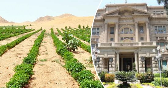 خطوات مصر تتسارع لتحقيق الأمن الغذائى.. زيادة الرقعة الزراعية بأكثر من 3.5 مليون فدان.. تحسين إنتاجية المحاصيل الاستراتيجية.. زيادة نسبة التغطية بالتقاوى المعتمدة.. واهتمام كبير بالأرز والذرة والقطن وفول الصويا