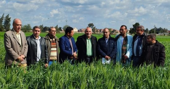 مدير الإدارة المركزية للإرشاد الزراعي يتفقد زراعات القمح بالغربية
