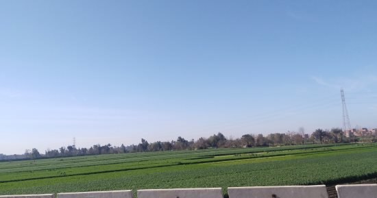 شمس ساطعة وسماء صافية وانخفاض طفيف بدرجات الحرارة في القليوبية.. صور 