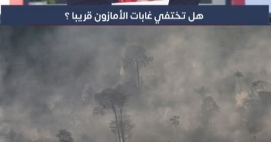 هل تختفي غابات الأمازون قريبا؟ 