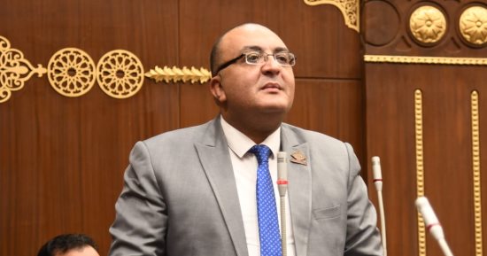 نائب التنسيقية عمرو حجاج يطالب بتعديلات تشريعية لمواجهة ظاهرة العنف الأسرى