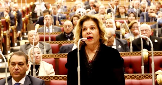 مشيرة خطاب: خروج قانون الأحوال الشخصية سيساهم فى خفض معدلات العنف الأسرى 