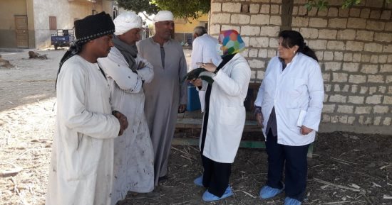 بيطرى الأقصر: تحصين 26825 رأس ماشية ضد الجدرى ومرض الجلد العقدى.. صور