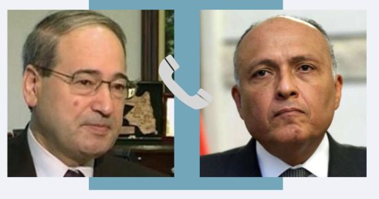 وزير الخارجية لـ"نظيره السورى": مصر سترسل مساعدات إغاثية عاجلة إلى سوريا
