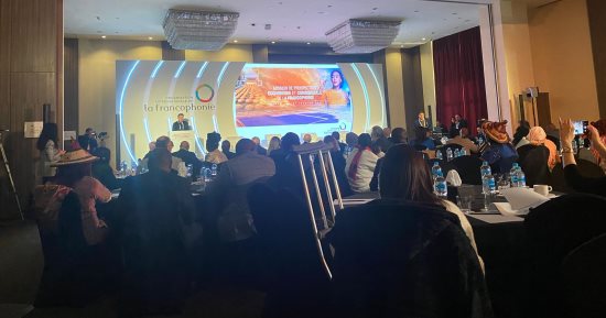 مسؤول بـ"الفرانكفونية": المنظمة ستعمل على دعم الاستثمار فى مصر