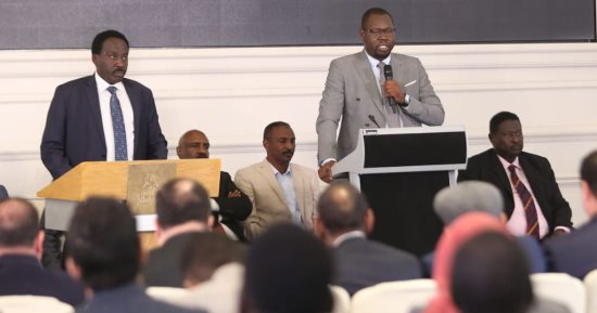 اختتام الحوار السودانى السودانى بالقاهرة.. القوى والمكونات الوطنية السودانية تتوصل لتوافق سياسى وآلية اختيار أعضاء السلطة التنفيذية والسيادية.. المشاركون يؤكدون ضرورة الإسراع فى تنفيذ الترتيبات الأمنية