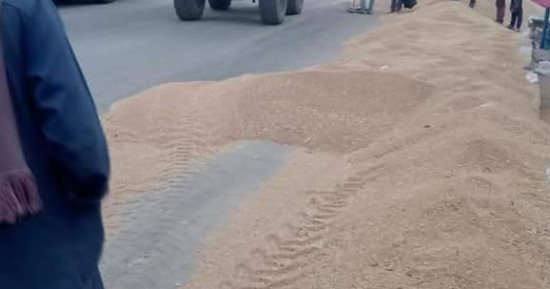 سقوط 10 أطنان قمح على طريق التل الكبير فى الإسماعيلية.. صور