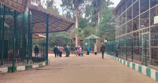 حديقة الحيوان تواصل استقبال الزائرين قبل انتهاء إجازة نصف العام.. صور