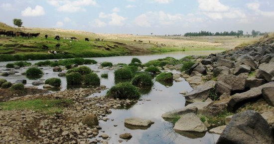 دراسة تكشف إنشاء أسلاف البشر فؤوسًا زجاجية حادة قبل أكثر من مليون عام