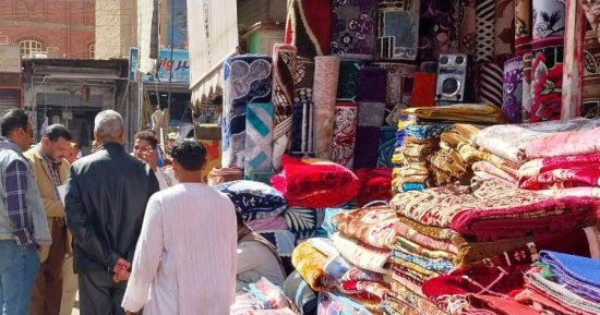 ضبط 272 مخالفة وكميات من المواد الغذائية منتهية الصلاحية بأسوان.. صور