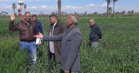 رفع إحداثيات الموقع المقترح لإنشاء محطة معالجة بنى صالح ببنى سويف