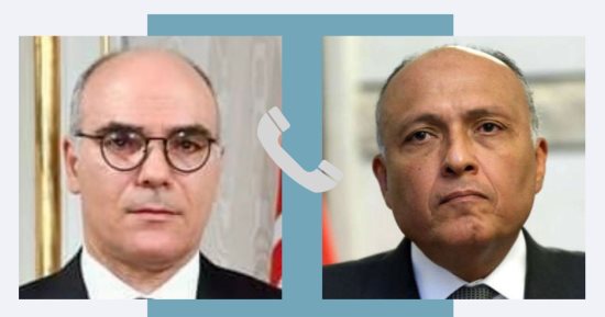 وزير الخارجية يهنئ نظيره التونسى بمنصبه الجديد