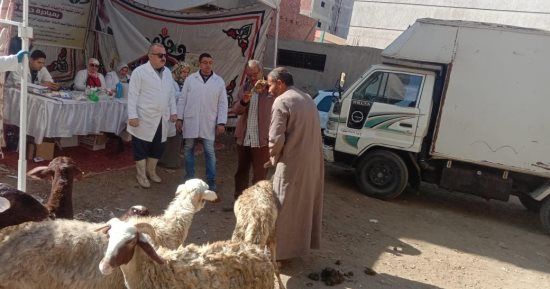 فحص وعلاج 548 حيوانا و9570 طائرا خلال قوافل بيطرية فى الغربية