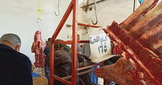 الجيزة تقيم منفذا لبيع اللحوم البلدية بـ165 جنيها بالواحات البحرية