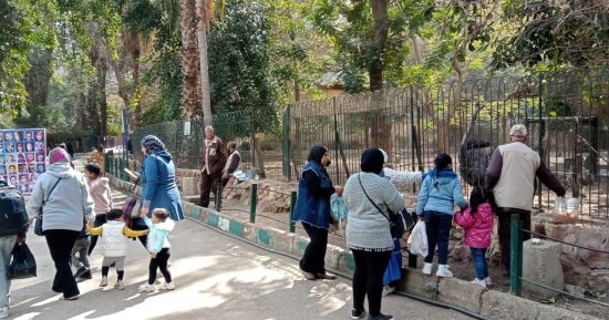 حديقة الحيوان تواصل اليوم استقبال الزائرين.. صور
