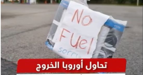 "أوروبا.. مخاطر بيئية بسبب استخدام الخشب المعالج بالزرنيخ في التدفئة" تقرير لـ"القاهرة الإخبارية"