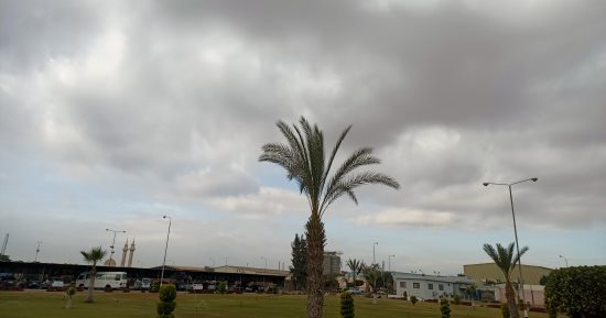 طقس المنوفية اليوم.. برودة فى الجو بمدن وقرى المحافظة
