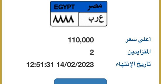 لوحتك باسمك.. مزاد إلكترونى على لوحات سيارات تحمل أسماء مميزة.. صور