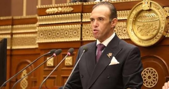 النائب محمد فريد أمام المجلس الأطلسي الأمريكي: مصر أحرزت تقدما في مؤشرات التنمية البشرية 
