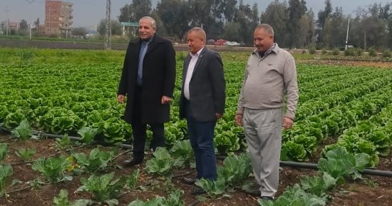 وكيل زراعة الغربية يتفقد الحقول الإرشادية بمركزي السنطة وزفتى