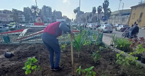 رفع 340 طن قمامة و45 طن أتربة من المنصورة.. صور