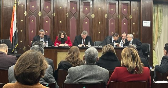 سها جندى: وزارة الهجرة صوت المصريين بالخارج.. والأزمة الاقتصادية أثرت على تحويلاتهم