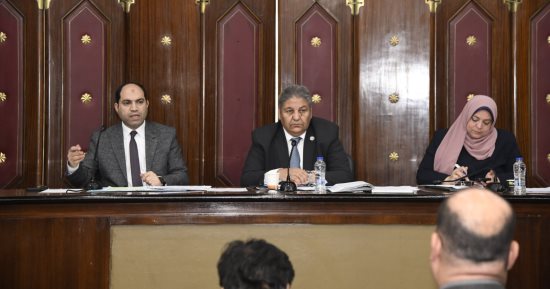 "محلية النواب" تناقش تحسين الخدمات بالزيتون وإنشاء سوق نموذجى بالأميرية