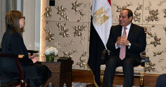 الرئيس السيسى يؤكد دعم مصر لجهود التنمية بتونس تحت قيادة قيس سعيد  