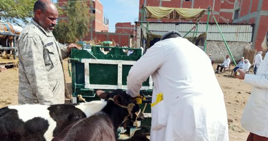 فحص وعلاج 465 حيوانا و2300 طائر خلال قافلة بيطرية بمدينة بسيون فى الغربية