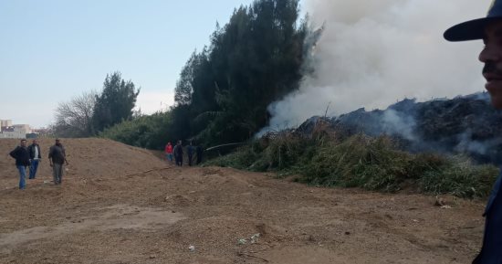 السيطرة على حريق قبل امتداده لمزرعة ماشية بالغربية